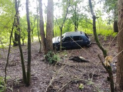 Une voiture dans un boisement alluvial à Mauves sur Loire