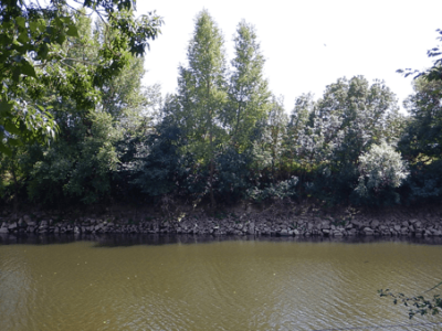 Berge enrochée et peupliers © CEN