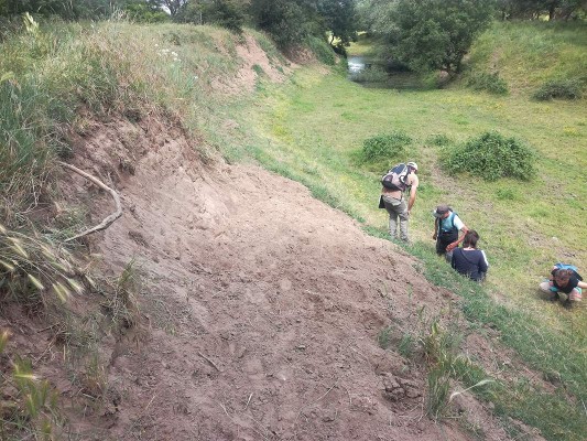 Inventaire - communautés végétales