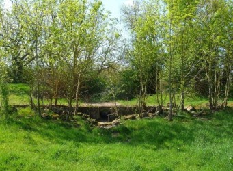 Connexion busée sur une annexe
 fluviale de Loire
