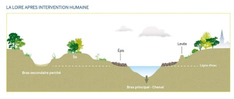 la-loire-apres-intervention-humaine