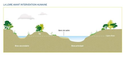 la-loire-avant-intervention-humaine