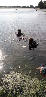 Plongée - malacologie