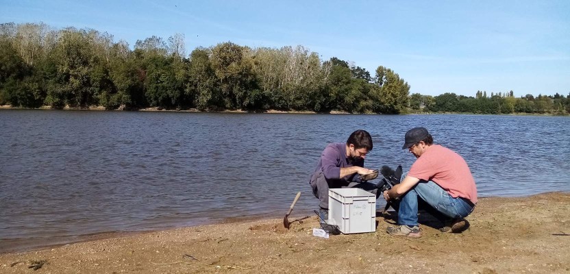 Invertébrés des grèves sableuse (Tournage – France 3)